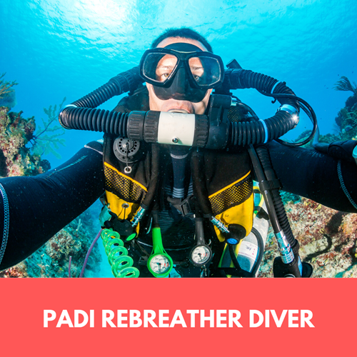 Rebreather Diver